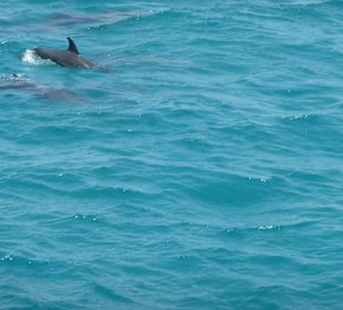 Ausfahrt mit Mohamed