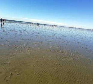 Wattenmeer