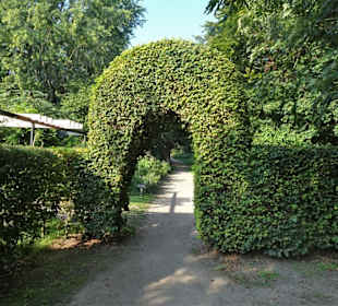 Spaziergang durch den Harburger Stadtpark
