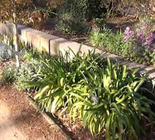 Real Jardín Botánico de Madrid