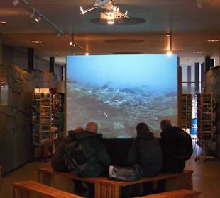 Im Informationszentrum von Pinvellir