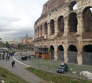 Koloseum 