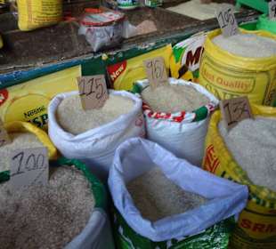 Hochland von Sri Lanka