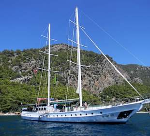 Das ist die Seyhan Can 