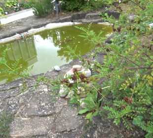 Apothekergarten