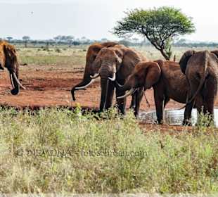Ausblick von der Lodge