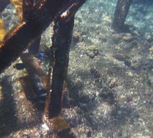 Nach starkem Wind abgerissen