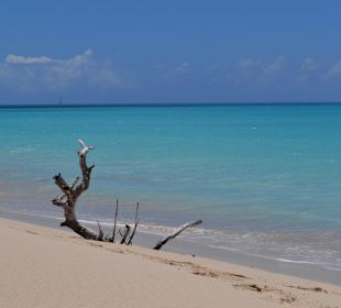 Traumstrand Barbuda