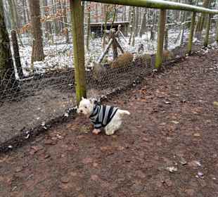 Hmmmm, was soll ich hier....