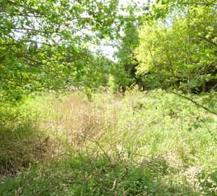 Wanderweg Mariabrunn-Röhrmoos