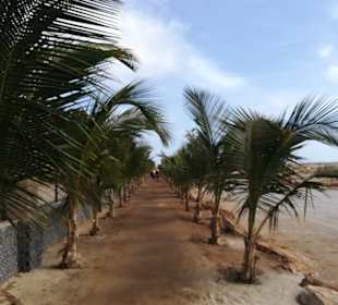 Weg zum Dünenstrand am RIU vorbei
