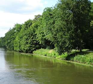 Blick auf den linken Regnitzarm