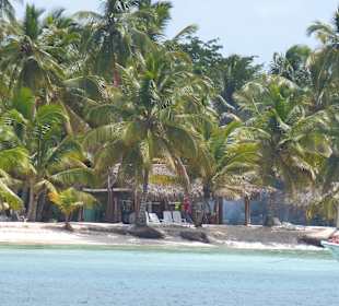 Saona