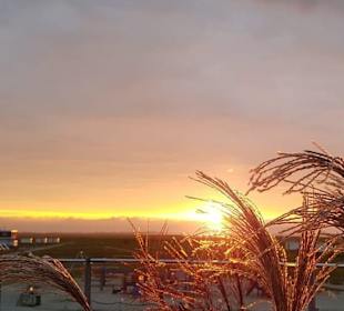 Museumshafen Carolinensiel