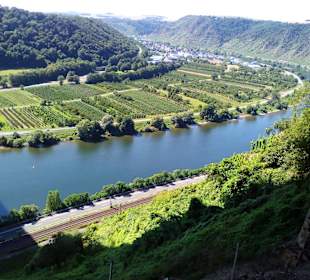 Moseltalbrücke Koblenz
