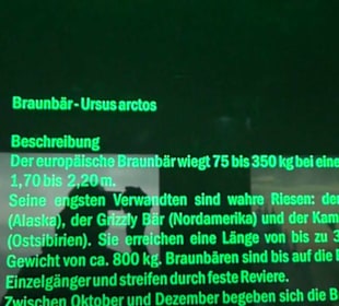 Jagdtier + Vogelkunde