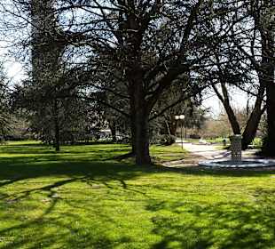 Frühling im Westfalenpark Dortmund