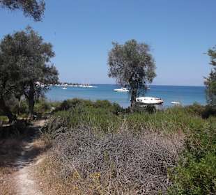 Auf dem Weg zum Palmengarten