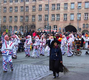Nürnberger-Faschingsumzug 2014 