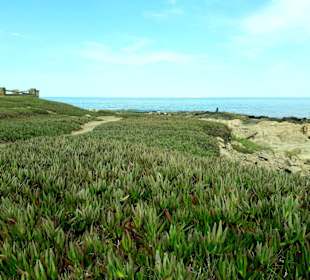 Stadtrundgang Punta del Este