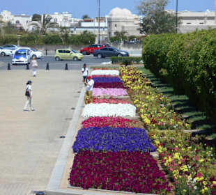 Sultan Qaboos Moschee