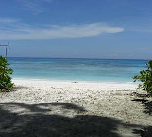 Tachai