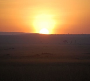Sonnenaufgang über der Mara