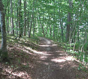 Wandertour Greifensteinrunde