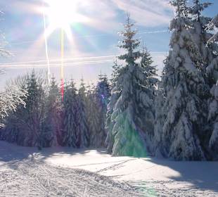 Wandern Neuhaus am Rennweg