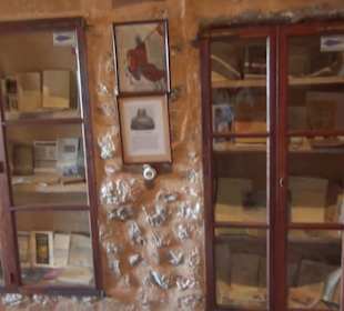 Stall + kleine Bibliothek