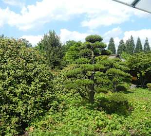 Parkanlage Planten un Blomen