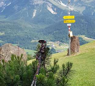 Wandern am Hollenauer Kreuz