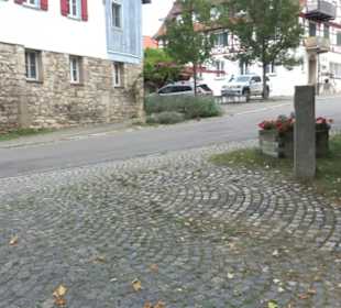 Backhaus