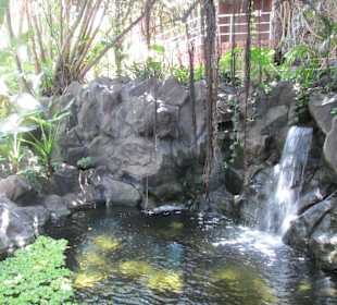 Wasserfall mit Teich