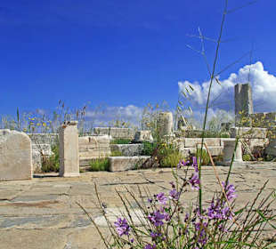 Ruiny na wyspie Delos