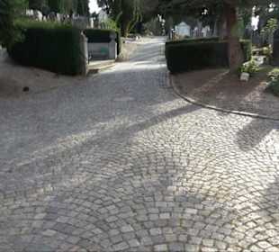 Haupt- und Waldfriedhof