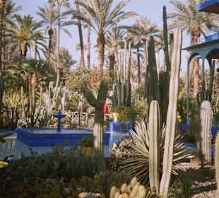 Im Majorelle-Garten
