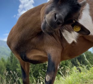 Wandern Sesto / Sexten