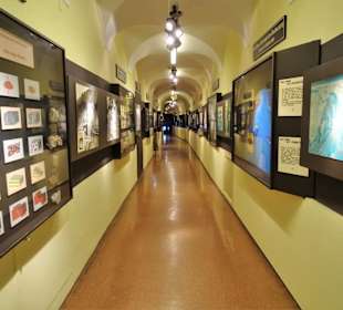 Rundgang zwischen den Abteilungen