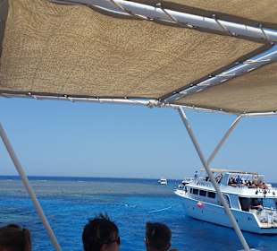 Giftun / Mahmya Inseln