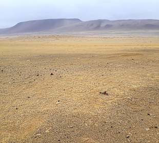 Nationalreservat Paracas
