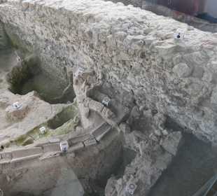 Archäologische Vitrine