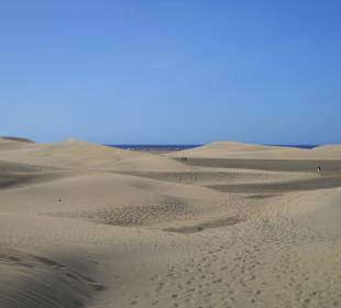 Dünen von Maspalomas