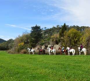 Ausritt "Tal von Randa"