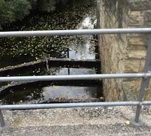 Gedenktafel für die Zerstörung