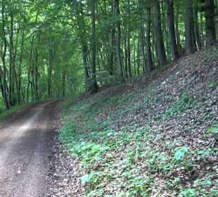 Premiumwanderweg "hochgelegen"