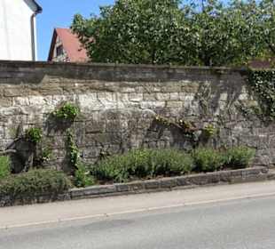 Schloss-Scheuer Baisingen