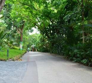Singapur Zoo