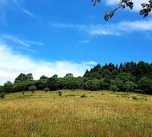 Wandern Schalkenmehren