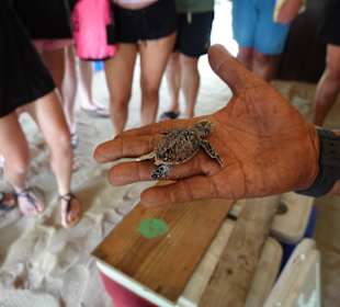 Saona Island - Mano Juan